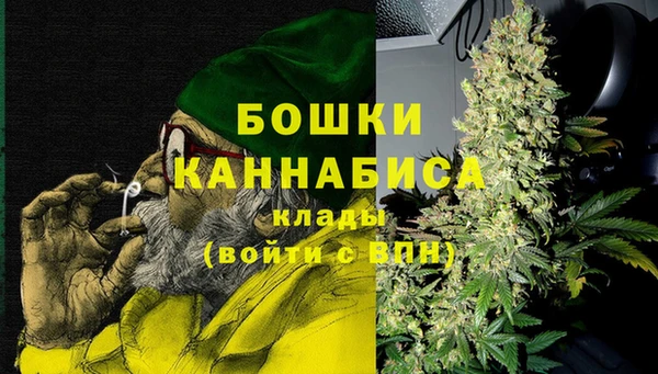 хмурый Горняк