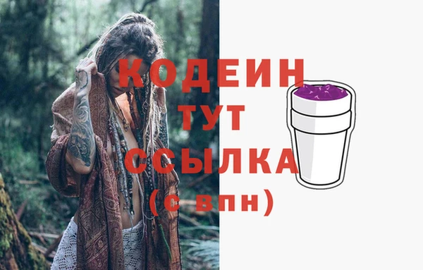 хмурый Горняк