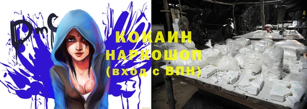 хмурый Горняк